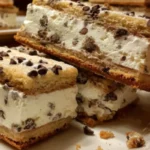 Homemade chocolate chip ice cream sandwiches stacked on a plate