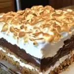 No Bake S'mores Cake – A Decadent, Easy Summer Dessert