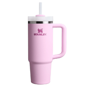 Stanley Quencher H2.0 30 oz Tumbler
