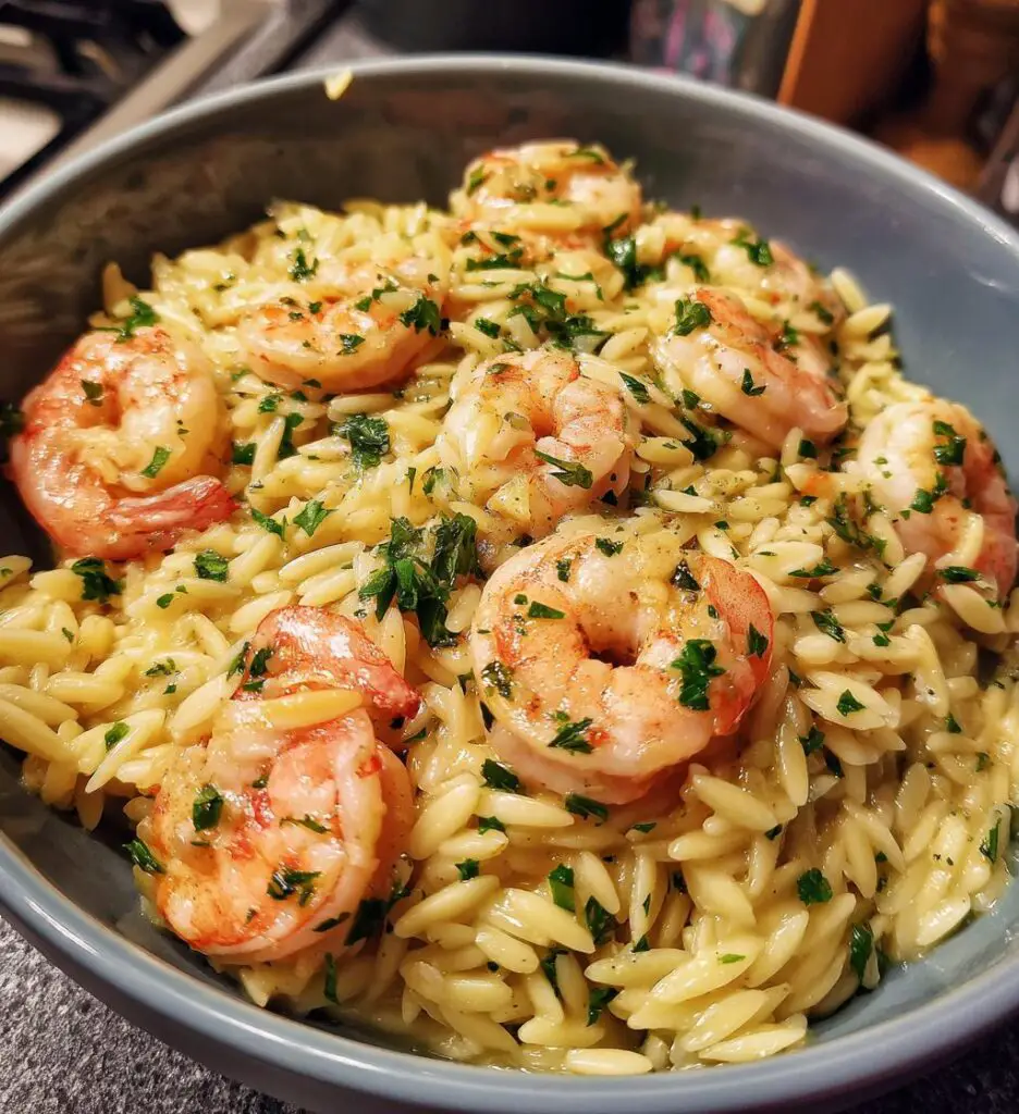 creamy garlic shrimp orzo